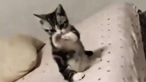 Играю в Minecraft