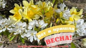 Вот и пришла Весна!(Музыка Сергея Колосова)