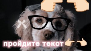 хочешь узнать какая у тебя была бы порода собаки?