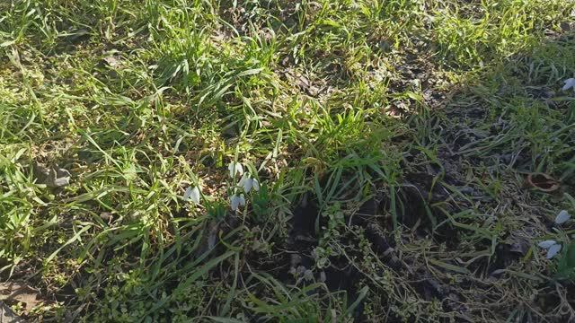 Херсонщина 1 марта 2026 года смотреть онлайн