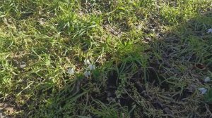 Херсонщина 1 марта 2026 года