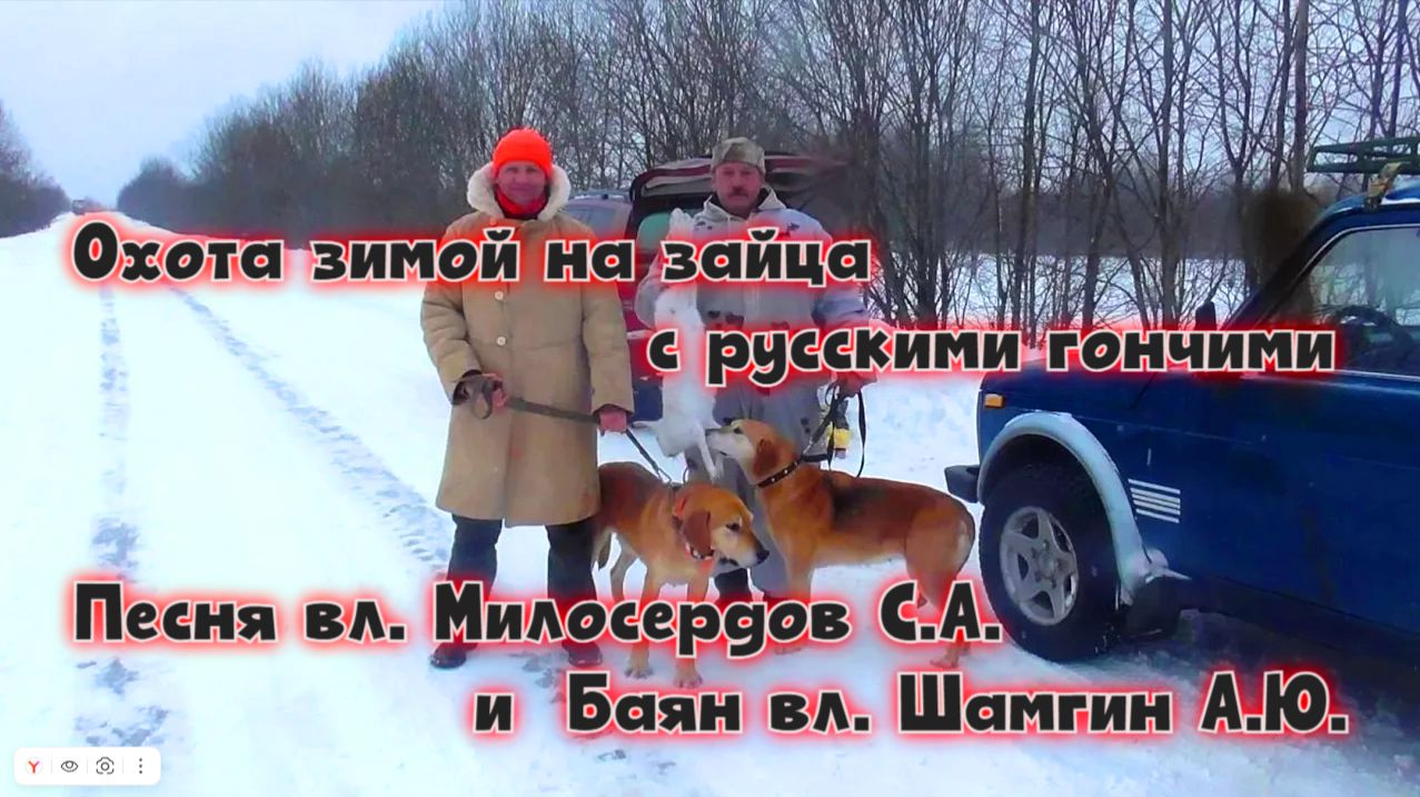 Охота зимой на зайца с гончими Песня вл. Милосердов С.А. и  Баян вл.Шамгин А.Ю.  #топ #hunting