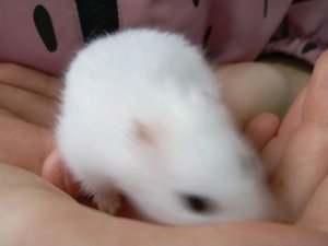 уборка и как я мою голову