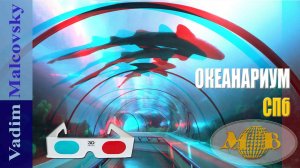 3D stereo red-cyan Океанариум Санкт-Петербурга. Релакс под виды подводного мира. Мальковский Вадим
