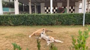 Охранники пляжа