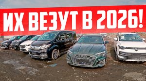 ЧТО ВЕЗТИ В 2026 из ЯПОНИИ, КИТАЯ И КОРЕИ? Варианты от 600 ТЫСЯЧ