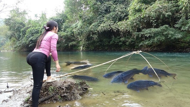 Традиционная рыбалка во Вьетнаме смотреть онлайн
