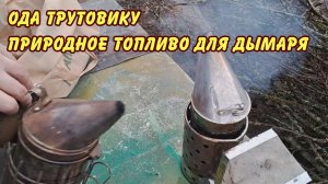 пчеловодство ОДА трутовику природное топливо для дымаря да