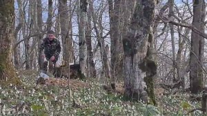 Вот и весна 28.02.2026 г.