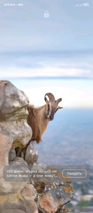 обзор на игры