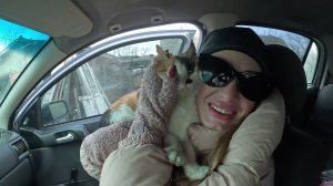 Алиса Неземная- МОЙ ДЕНЬ  КОРМЛЕНИЕ ЖИВОТНЫХ