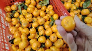 Ейск ! В первый день весны опять  магазины и цены, что я делаю с авокадо 01-03-2026