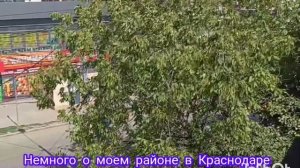 1💞#Настоящая жизнь в Сербии в 2026 году. Осенняя поездка в Россию в 2025 году.