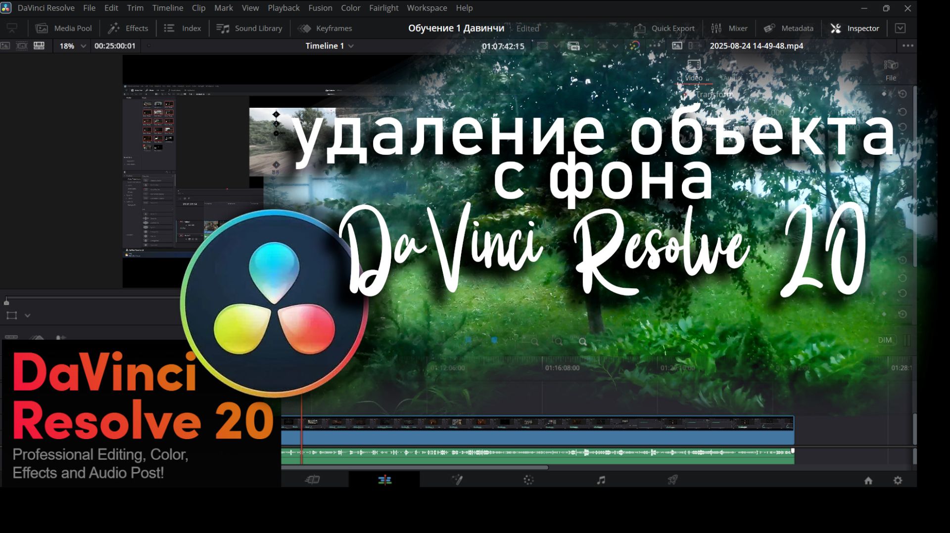 Удаление объекта с фона DaVinci Resolve 20 за пару минут, для новичков. смотреть онлайн