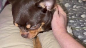 Доброго всем вечера и самой спокойной ночи.