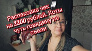 Коты чуть говядину не съели.Распаковка чек на 2200 рублей