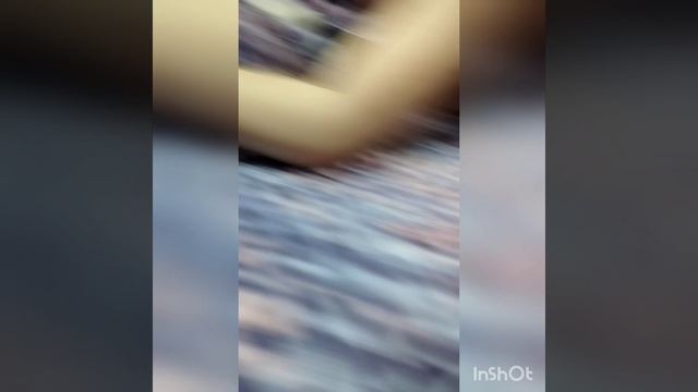 кошечка моей сестрëнки