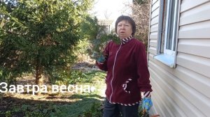 01-03-2026 ВЛОГ ПОКУПКИ ПОДАРКИ СЕМЕНА  ПОСАДКИ