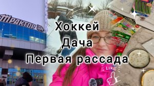 ИДЁМ НА ХОККЕЙ, ВОРОВСТВО НА ДАЧЕ, ЧТО БУДЕМ САЖАТЬ В ЭТОМ ГОДУ?