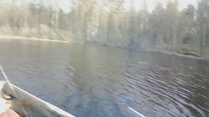 ОНЕЖСКОЕ ОЗЕРО 24.05.2025  СПИННИНГ ТРОЛЛИНГ в деревне