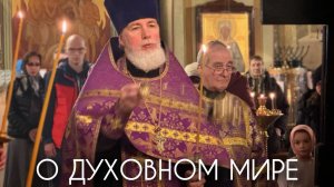 О духовном мире.
Искореняйте бесовские свойства. Прот. Андрей Овчинников.