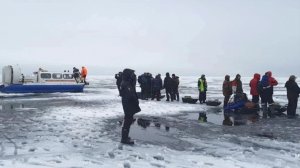 Сотни рыбаков унесло на отколовшейся льдине в Финском заливе