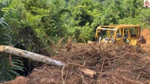 Строительство, расчистка горной дороги