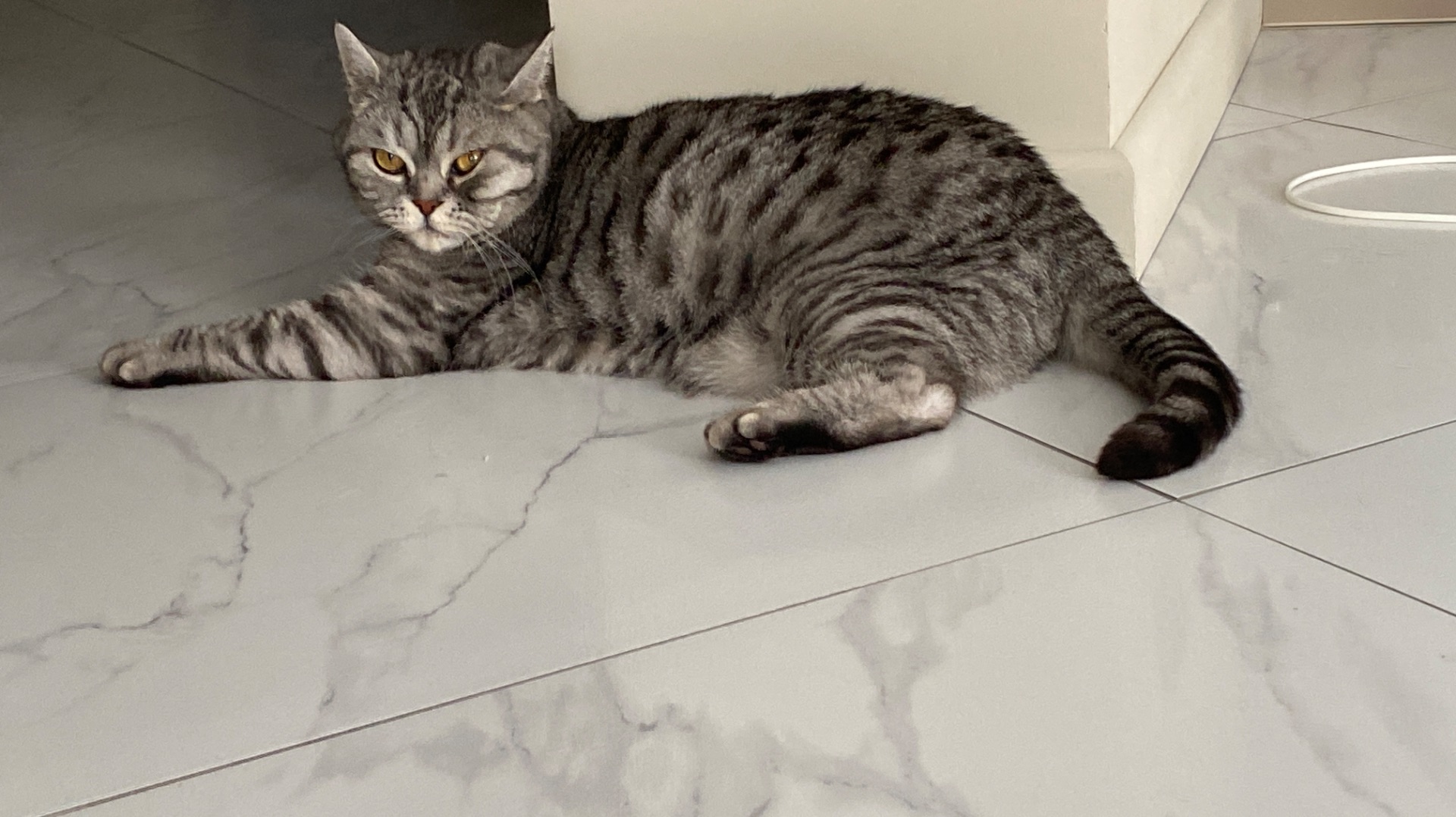 79404344184__44A07A6F-0917-4427-8A7E-5ED8EA1D20C1 смотреть онлайн