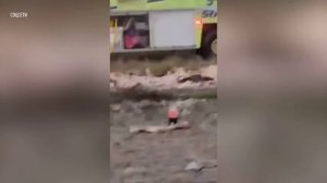 Самолет с деньгами потерпел крушение в Боливии