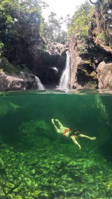 Плавание девушки