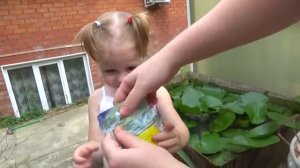 Волшебные очки - ИГРА КВЕСТ от Свинки Пеппы Развлечение для детей [get.gt]