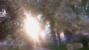 Рубрика "Мои фотографии"