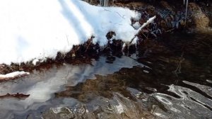 К грибам Малого Салгира. 28.02.26.