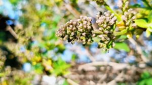 завтра будет весна