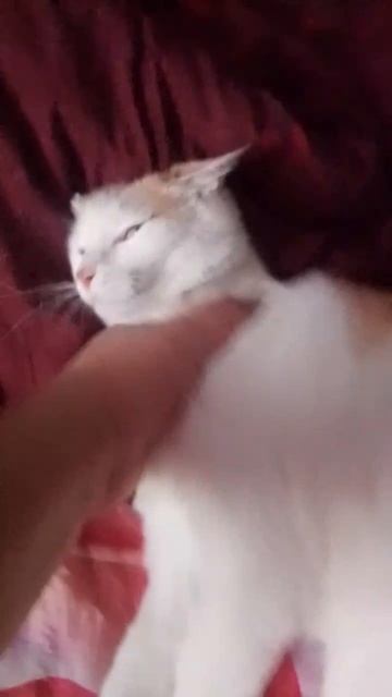 Спать днём вредно !!!