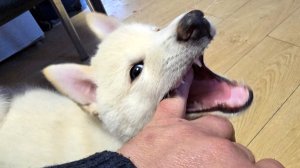 Сборы на работу