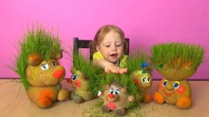 Живая детская игрушка Травянчик - трава растет прям на