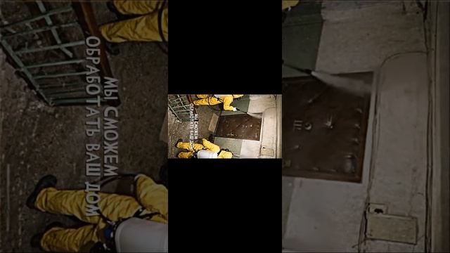 реакция на БАРХАН 9