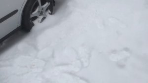 Мопеды сериал | Серия 2052