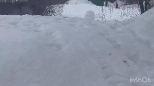 01-03-2026 ВЕСЕННИЙ ОБЗОР С ВБ😉💐💐/жизнь здесь и сейчас ❤️❤️❤️