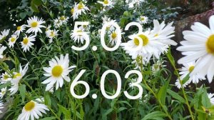 Лунный календарь Садовода Огородника с2.03-8.03.26г.