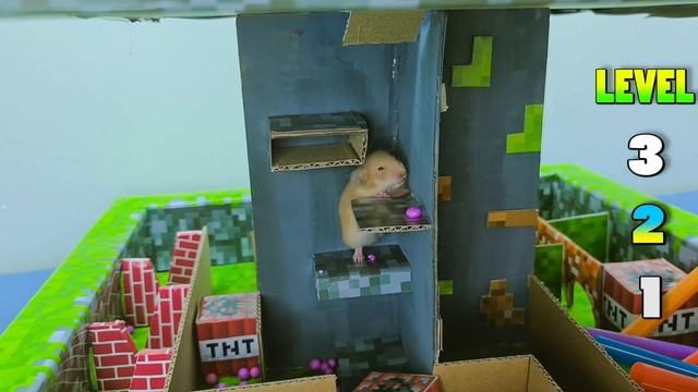 Лабиринт с препятствиями Hamster Minecraft Worrld в Stories hamster смотреть онлайн