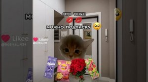 Пожалуста можно подписку