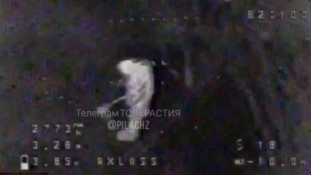 Отошёл поссать в кустики и получил дроном смотреть онлайн