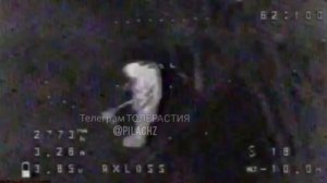 Отошёл поссать в кустики и получил дроном