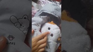 Обзор на переноску для Басика и Лили.