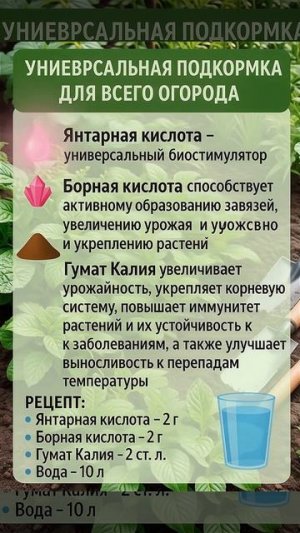 Универсальная подкормка для всего огорода