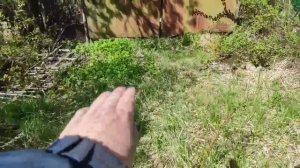 27-.Дача..Форзиция цветет конечно но не обильно.. 26.05.22.