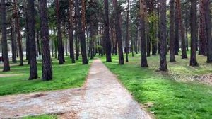 GURYEVSK PARK METALLURGISTS 2022