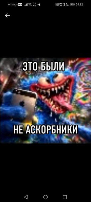 алиска ТРАНСЛЯЦИЯ